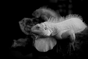 HSPが自分を理解できない時のモヤモヤ解消法は？