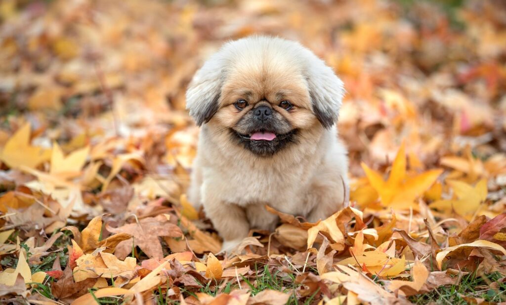 HSPが自己分析をする際に苦手な人向けのアプローチは？