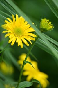 hspの悩みを相談するための効果的な方法は？