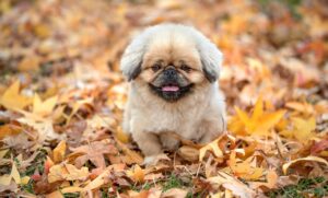 HSPのつらさを相談できない時、どう対処すれば良い？