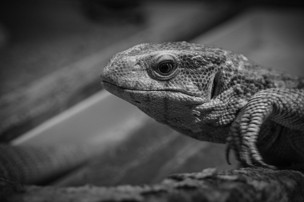 HSPが自分を大切にする習慣を身につけるための方法は？