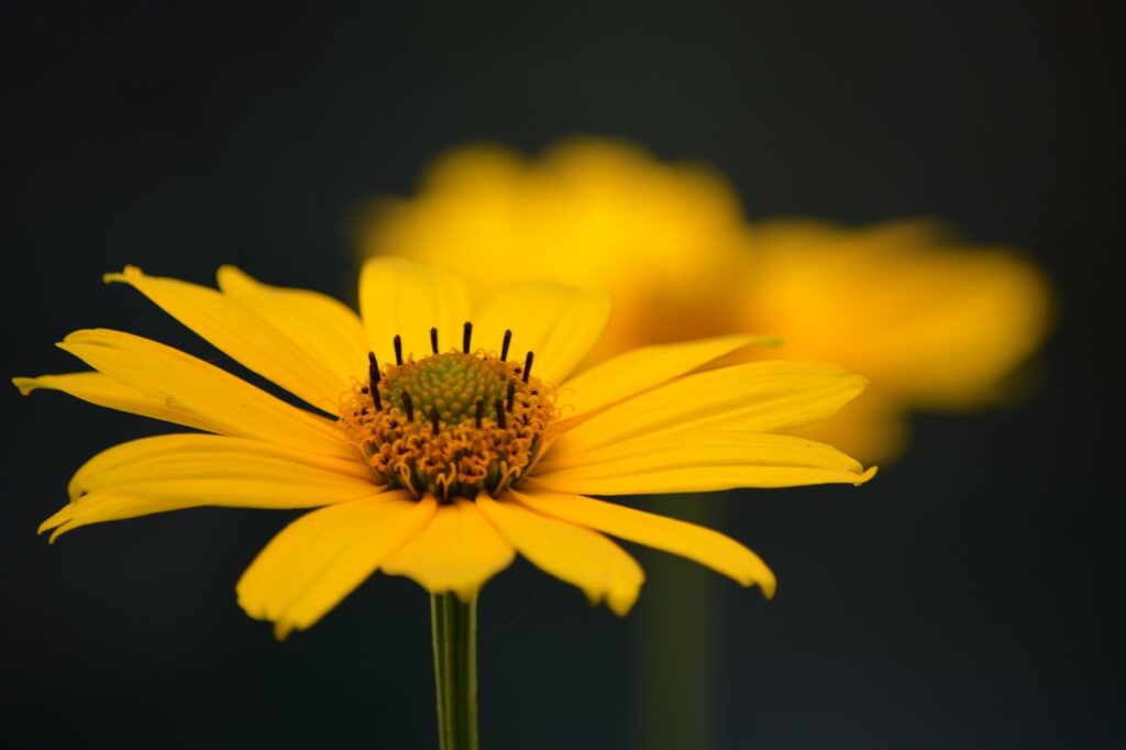 繊細さんが疲れる人間関係を乗り越える方法は？