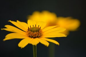 繊細さんが疲れる人間関係を乗り越える方法は？