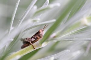 繊細さんが疲れる人間関係を改善する方法は？