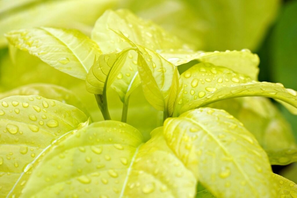 HSPが他人目を気にしすぎるのをどう治したい？