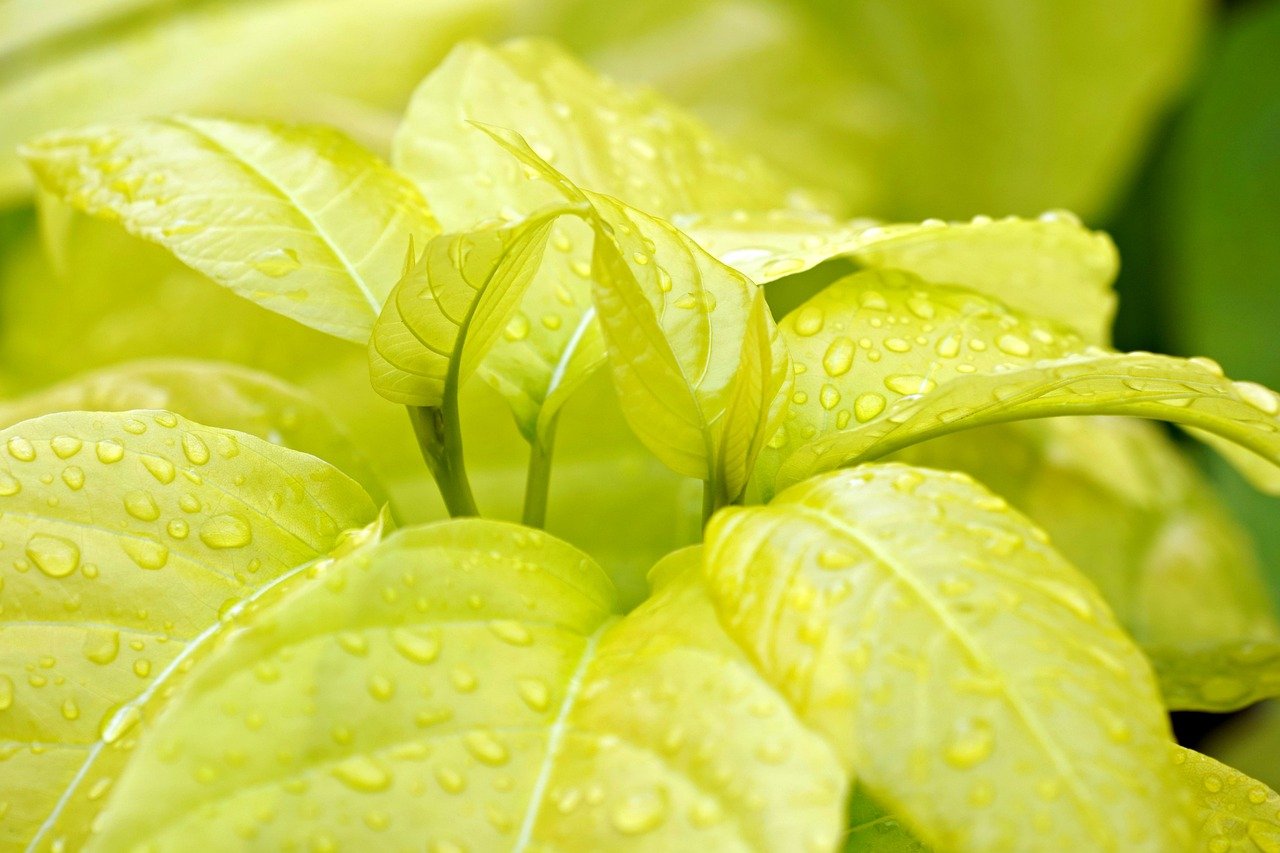 HSPが他人目を気にしすぎるのをどう治したい？