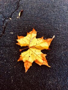 HSPが季節の変化により疲れやすい理由とは？