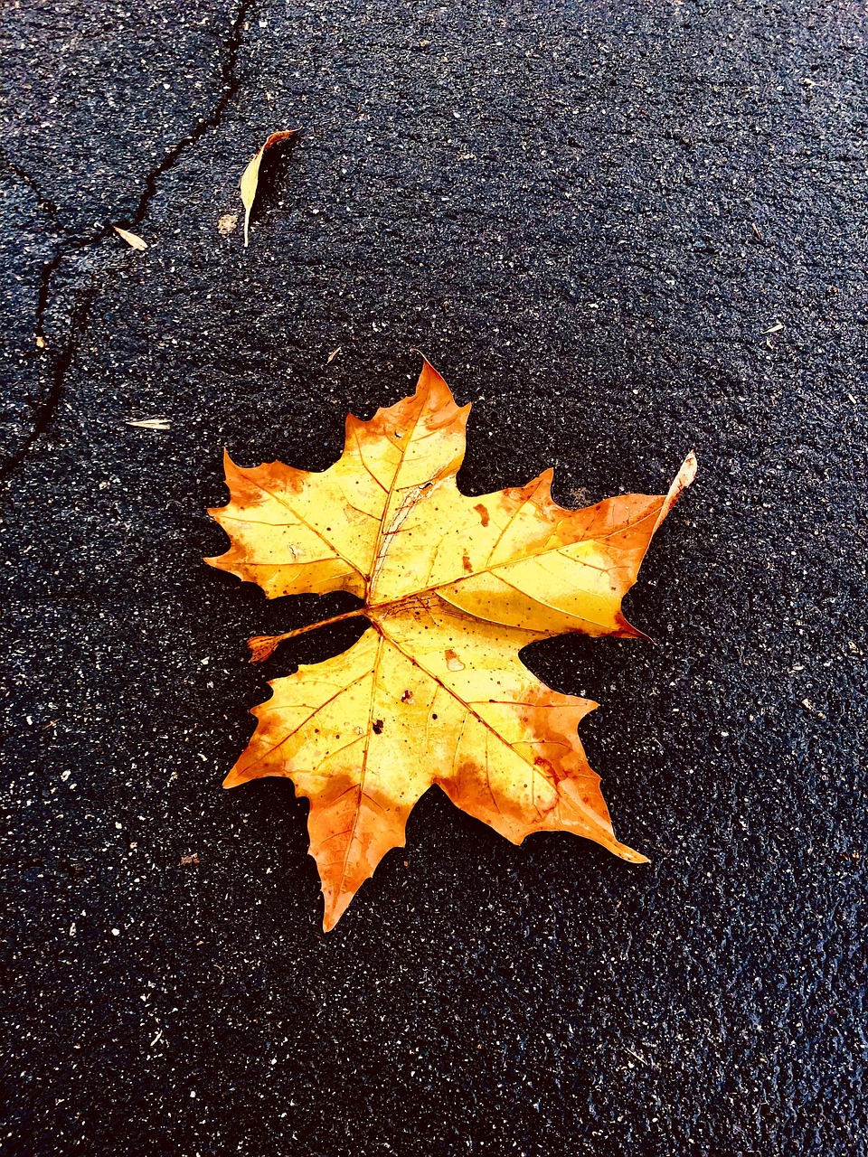 HSPが季節の変化により疲れやすい理由とは？