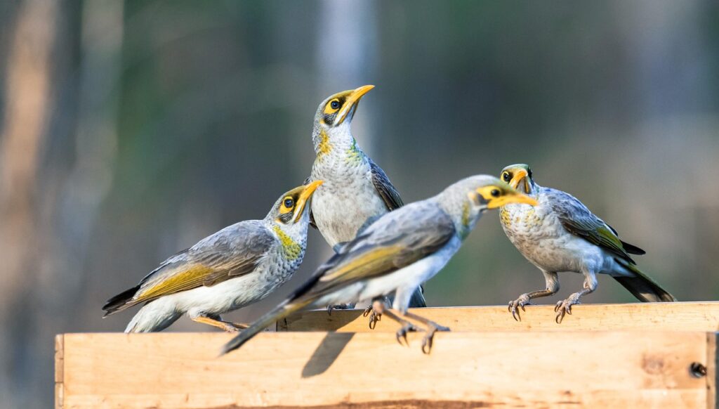 HSPが体験した騒音過敏の実例とは？