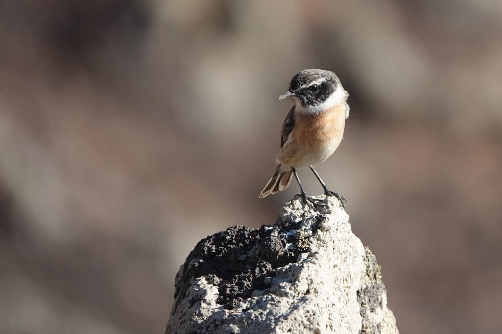 HSPの優しさが重荷になる時、どう対処すれば良いのか？