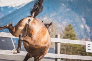 HSPが断る勇気を持つ方法とは？