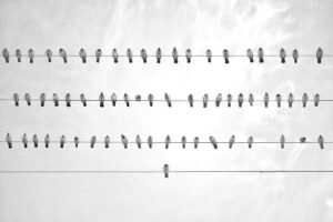 HSPが気持ちを可視化するためのワークとは？