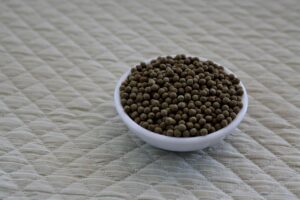 HSPが飲み会を苦手と感じた時の上手な断り方は？