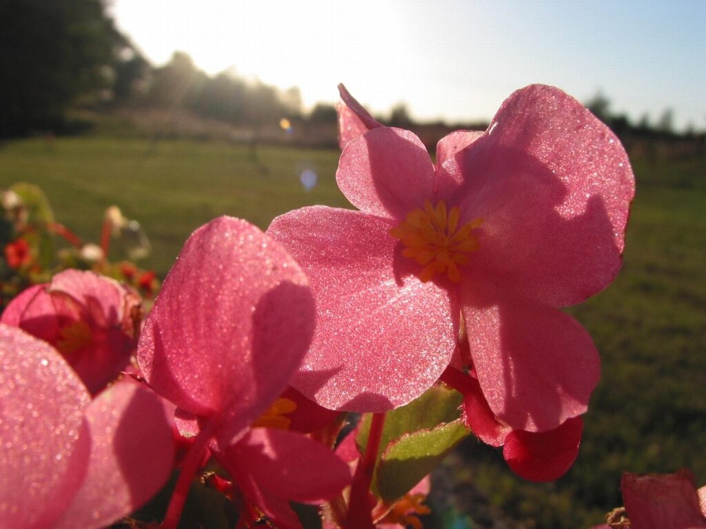 HSPの人が急に涙が出る夜の原因とは？