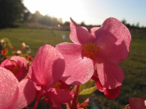 HSPの人が急に涙が出る夜の原因とは？