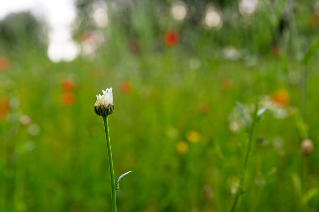 HSPが心の整理ノートを作成するためのテンプレは？