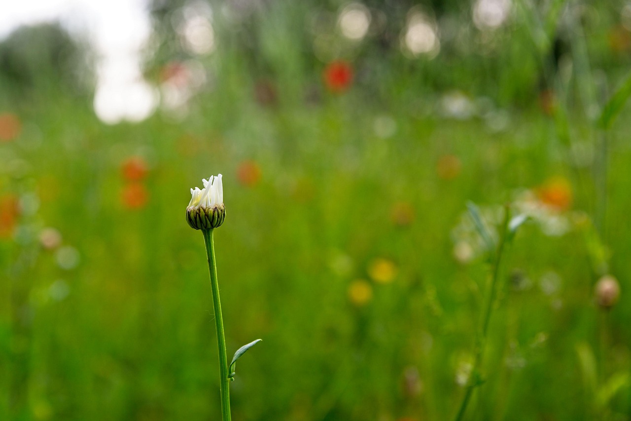 HSPが心の整理ノートを作成するためのテンプレは？