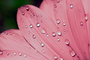 HSPの繊細さんが心の強さを育てるための方法は？