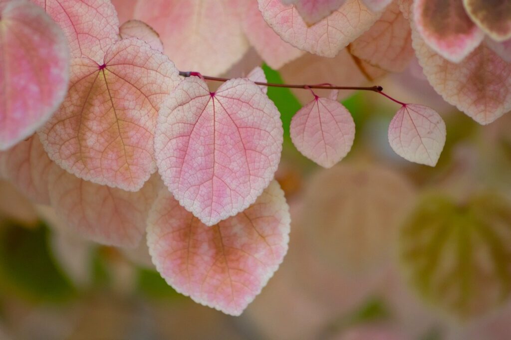 HSPの繊細さんが自分を癒す方法とは？
