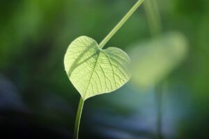 繊細さんにぴったりな本のおすすめは？