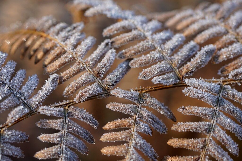 繊細さんのためのチェックリストにはどんな項目がある？