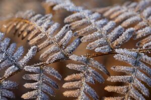 繊細さんのためのチェックリストにはどんな項目がある？