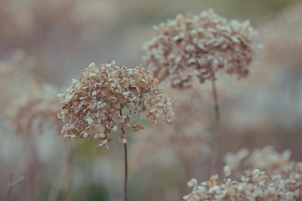 繊細さんの特徴をまとめて理解するためのポイントは？