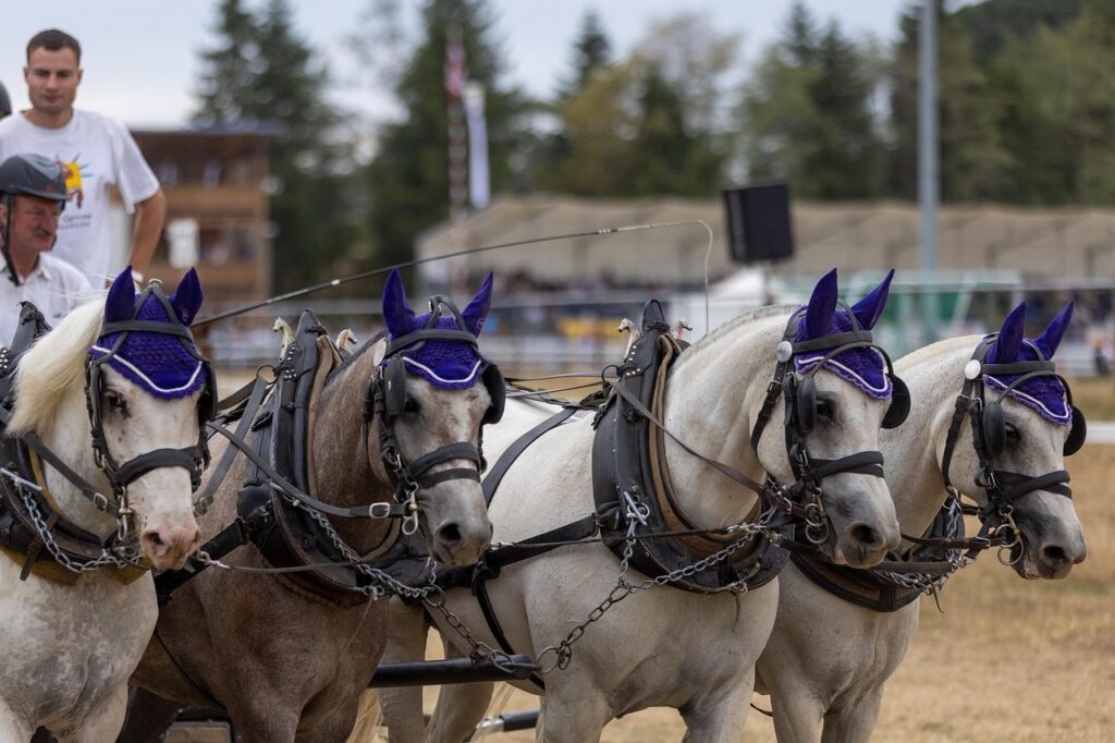 HSPがつらい理由とは何か？