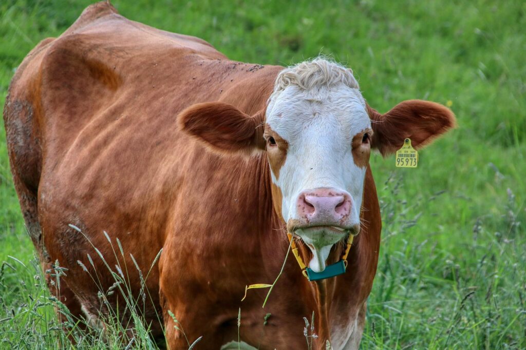 HSPの短所を改善するための具体的な方法は？