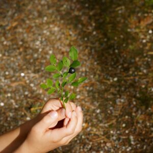 HSPの長所を伸ばすための具体的な方法は？