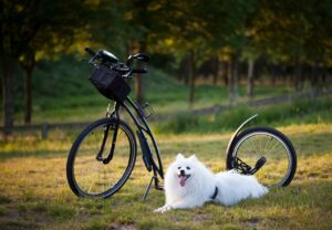 HSPを克服できる具体的な方法は？