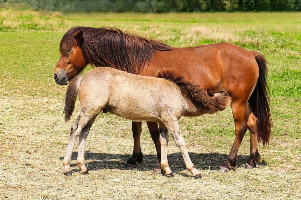 HSPの育児に関する悩みを解決する方法は？