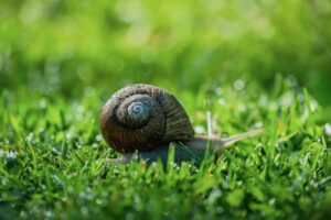 繊細さんが転職する際の相談はどこでするべき？