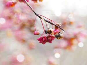 繊細さんのモヤモヤを解消するための具体的な方法は？